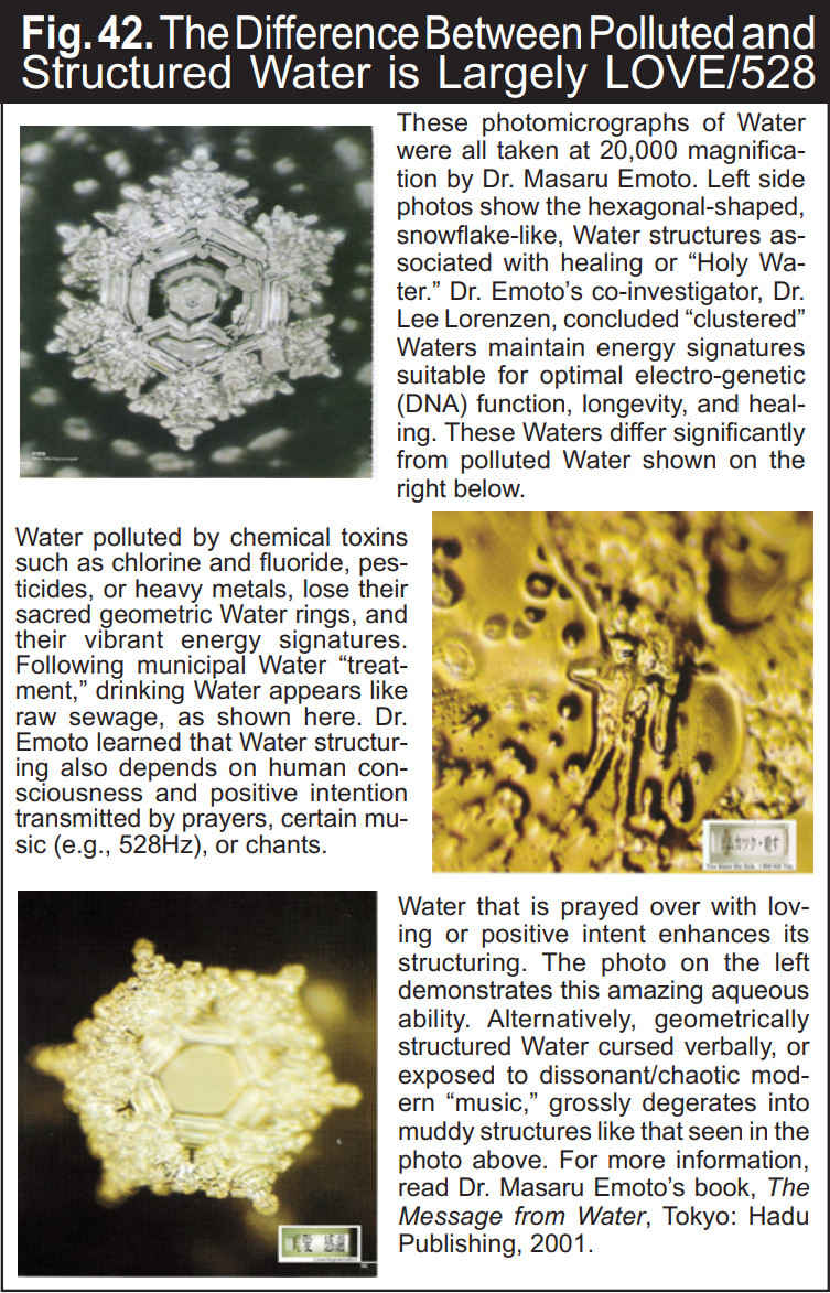 Dr.masaru emoto